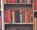 Library fabric red leather books trompe l'oeil