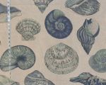 Aqua blue seashell fabric nautilus sea shells Remnant-36"