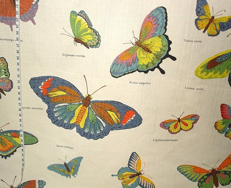 Butterfly Fabric- fabrics of the week! – 30 October 2014 | Brickhouse ...